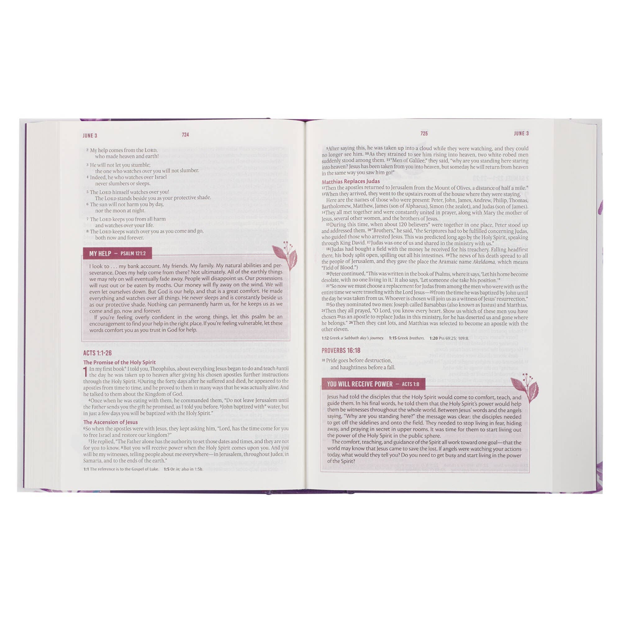 Devotional Bible NLT for Women Hardcover, Purple