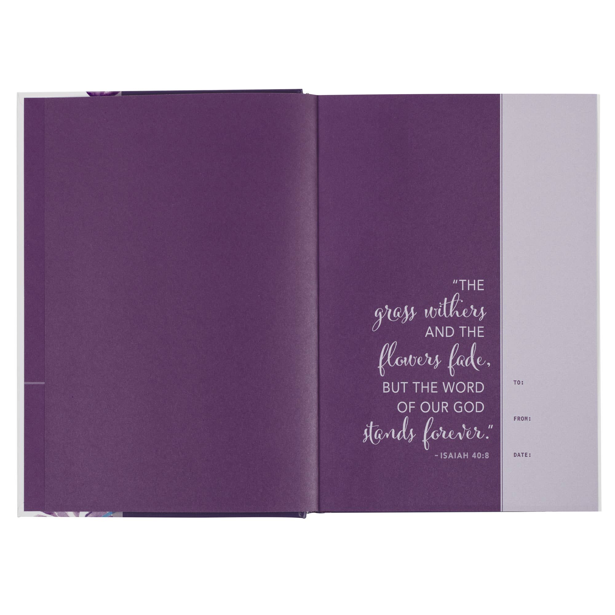 Devotional Bible NLT for Women Hardcover, Purple