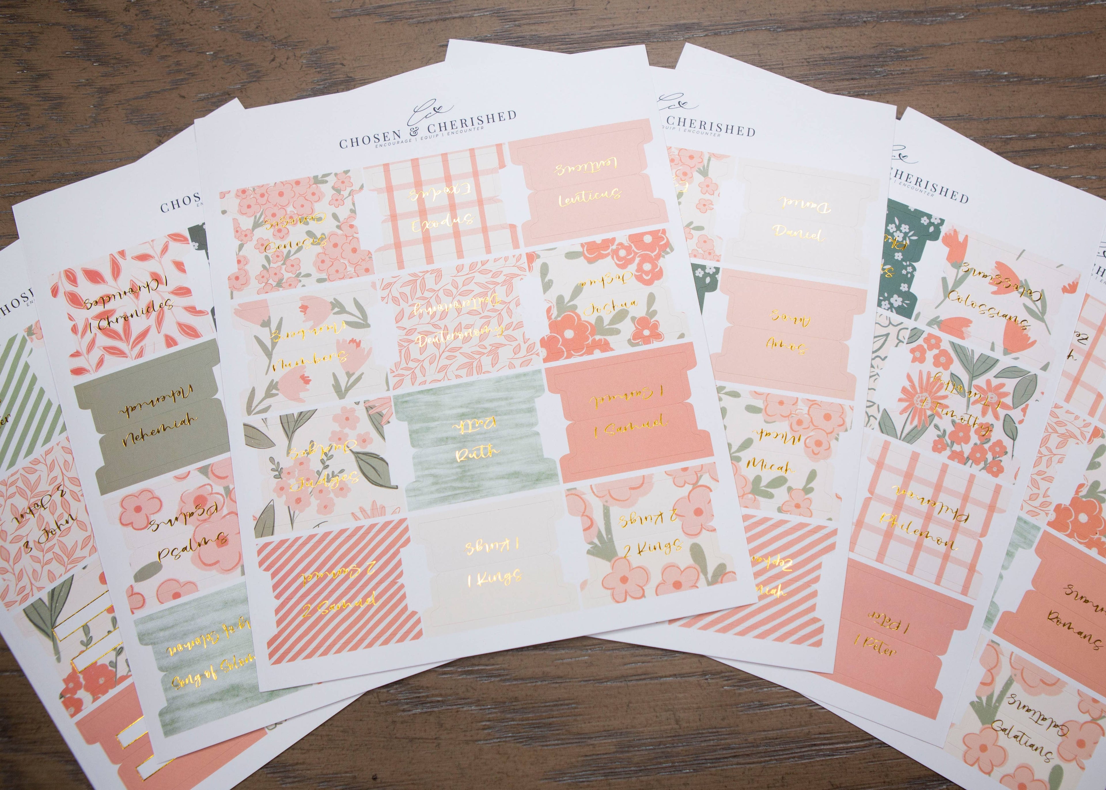 Pretty Peach Bible Book Tabs