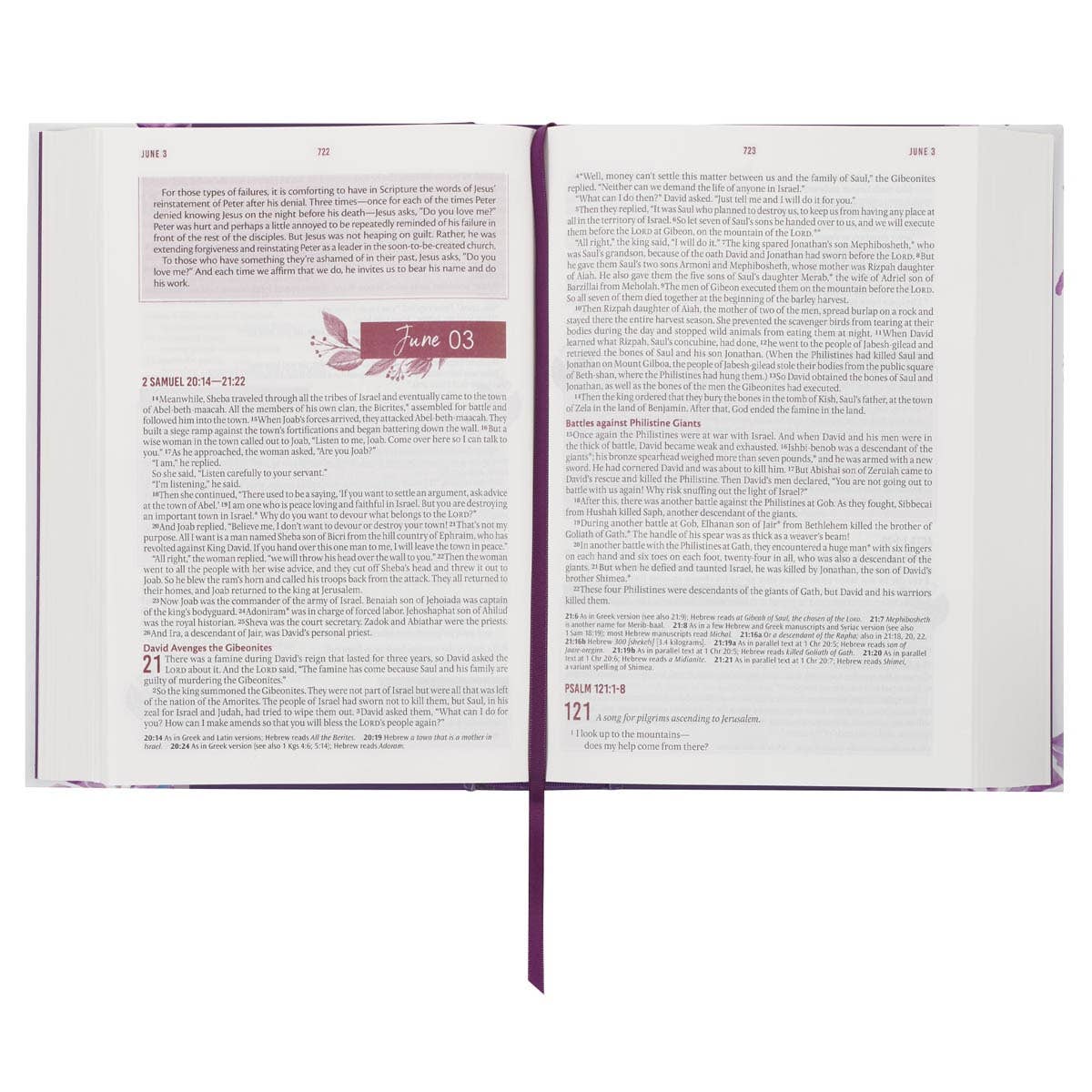 Devotional Bible NLT for Women Hardcover, Purple